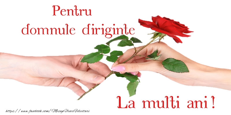 Felicitari de zi de nastere pentru Diriginte - Pentru domnule diriginte La multi ani!