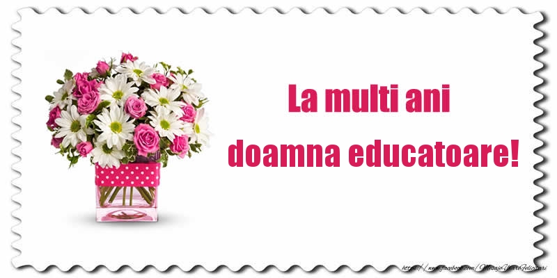 Felicitari de zi de nastere pentru Educatoare - La multi ani doamna educatoare!