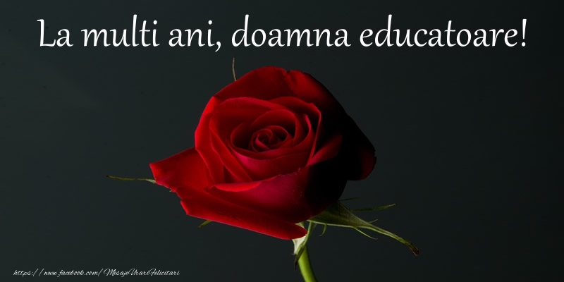 Felicitari de zi de nastere pentru Educatoare - La multi ani doamna educatoare!