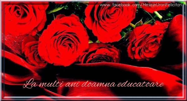 Felicitari de zi de nastere pentru Educatoare - La multi ani doamna educatoare