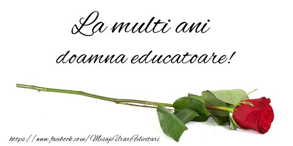 Felicitari de zi de nastere pentru Educatoare - La multi ani doamna educatoare!