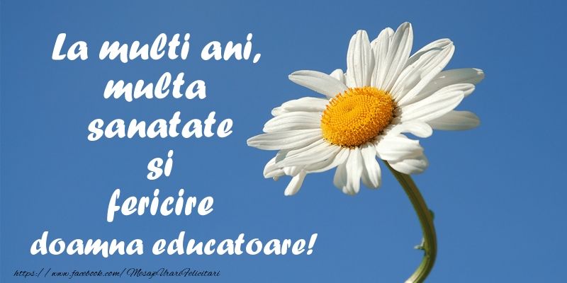 Felicitari de zi de nastere pentru Educatoare - La multi ani, multa sanatate si fericire doamna educatoare!