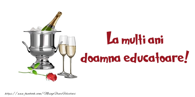 Felicitari de zi de nastere pentru Educatoare - La multi ani doamna educatoare!