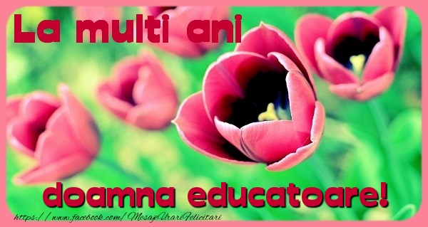 Felicitari de zi de nastere pentru Educatoare - La multi ani doamna educatoare