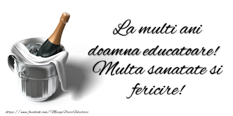 Felicitari de zi de nastere pentru Educatoare - La multi ani doamna educatoare! Multa sanatate si fericire!