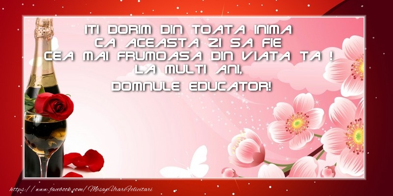 Felicitari de zi de nastere pentru Educator - La multi ani, domnule educator!