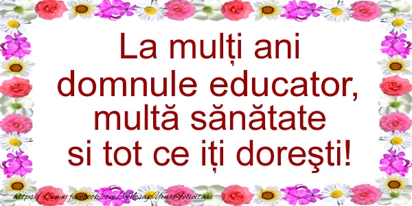 Felicitari de zi de nastere pentru Educator - La multi ani domnule educator, multa sanatate si tot ce iti doresti!
