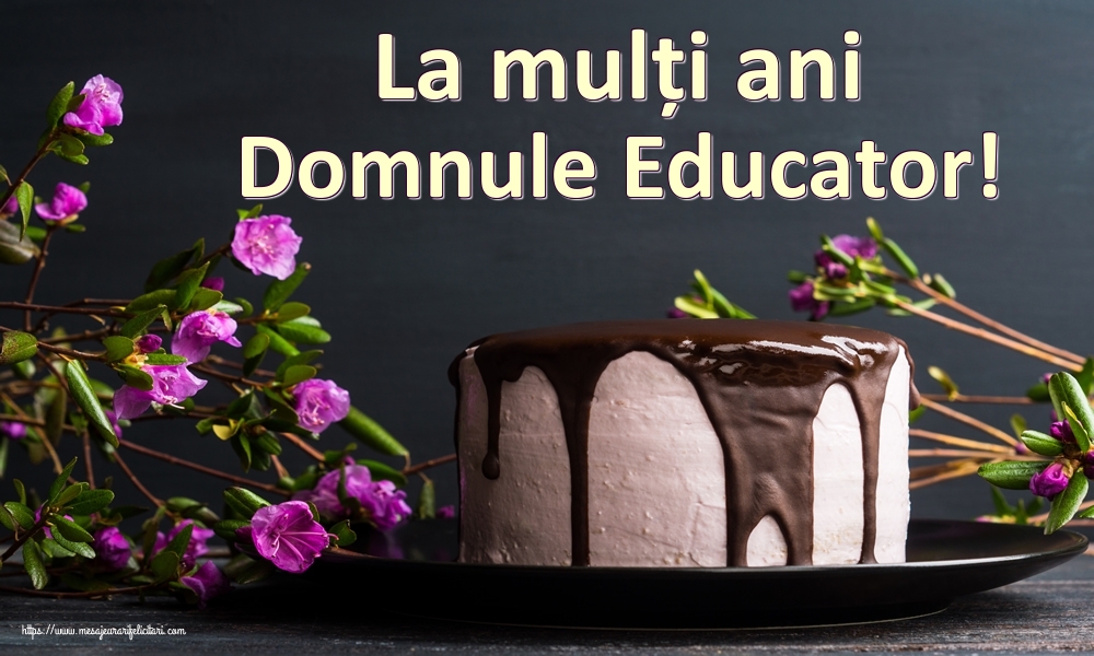 Felicitari de zi de nastere pentru Educator - La mulți ani domnule educator!