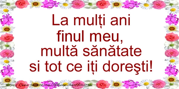 Felicitari de zi de nastere pentru Fin - La multi ani finul meu, multa sanatate si tot ce iti doresti!
