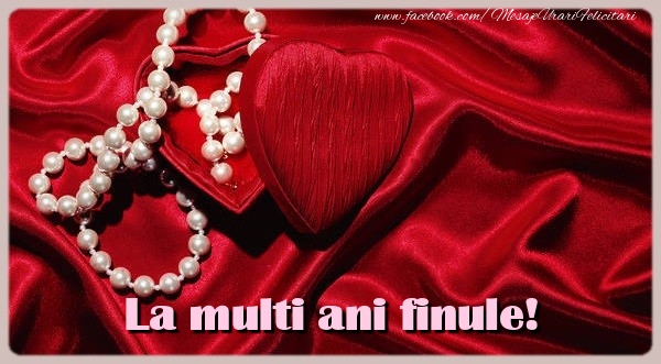 Felicitari de zi de nastere pentru Fin - La multi ani draga finule