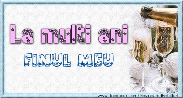 Felicitari de zi de nastere pentru Fin - La multi ani finule