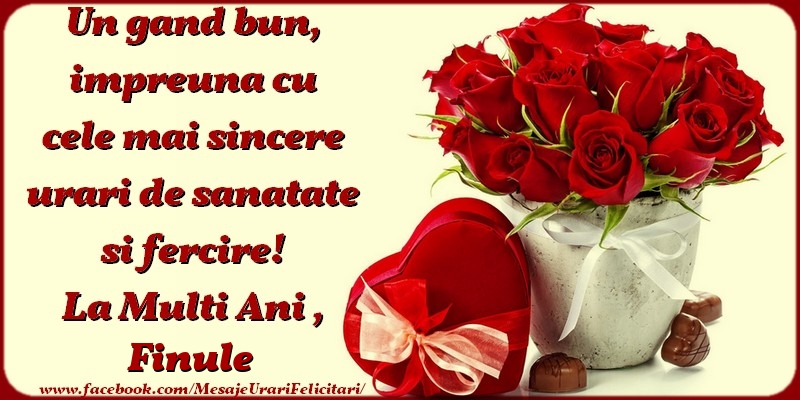 Felicitari de zi de nastere pentru Fin - Un gand bun, impreuna cu cele mai sincere urari de sanatate si fercire! La multi ani, finule