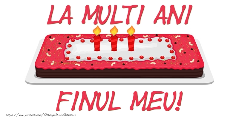Felicitari de zi de nastere pentru Fin - Tort La multi ani finul meu!