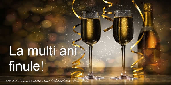 Felicitari de zi de nastere pentru Fin - La multi ani draga finule!