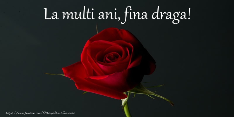 Felicitari de zi de nastere pentru Fina - La multi ani fina draga!