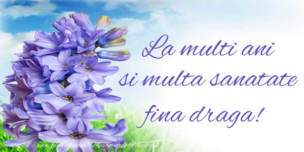 Felicitari de zi de nastere pentru Fina - La multi ani si multa sanatate fina draga!