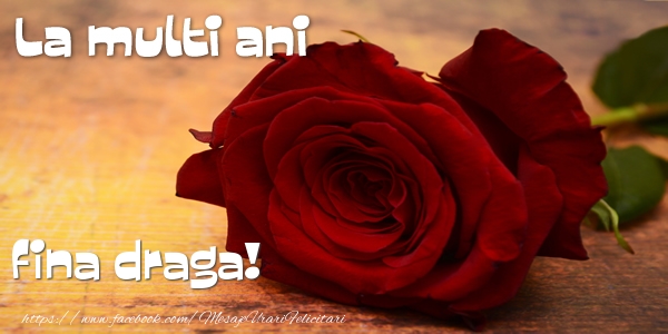 Felicitari de zi de nastere pentru Fina - La multi ani fina draga!