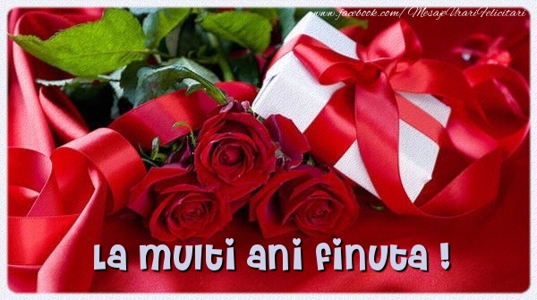 Felicitari de zi de nastere pentru Fina - La multi ani finuta !