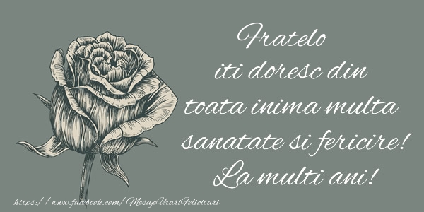 Felicitari de zi de nastere pentru Frate - Fratelo iti doresc din toata inima multa sanatate si fericire! La multi ani!