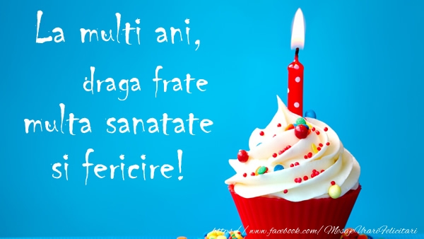 Felicitari de zi de nastere pentru Frate - La multi ani draga frate, multa sanatate si fericire!