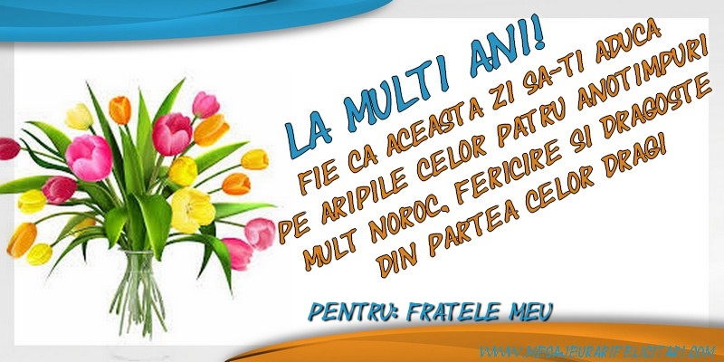 Felicitari de zi de nastere pentru Frate - La multi ani, fratele meu! Fie ca aceasta zi sa-ti aduca pe aripile celor patru anotimpuri mult noroc, fericire si dragoste din partea celor dragi
