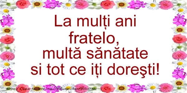 Felicitari de zi de nastere pentru Frate - La multi ani fratelo, multa sanatate si tot ce iti doresti!