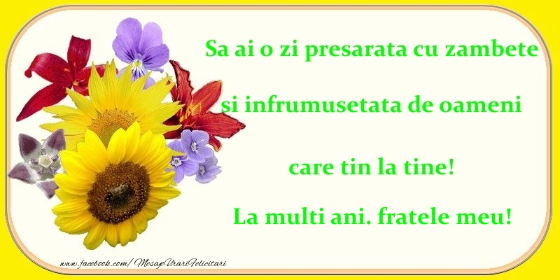 Felicitari de zi de nastere pentru Frate - Sa ai o zi presarata cu zambete si infrumusetata de oameni care tin la tine! fratele meu