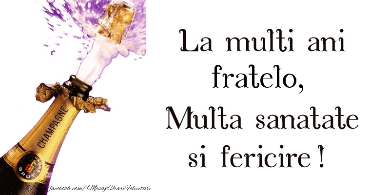 Felicitari de zi de nastere pentru Frate - La multi ani fratelo! Multa sanatate si fericire!