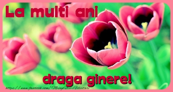 Felicitari de zi de nastere pentru Ginere - La multi ani draga ginere