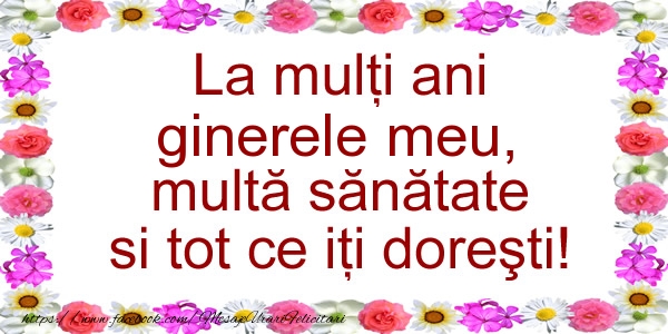 Felicitari de zi de nastere pentru Ginere - La multi ani ginerele meu, multa sanatate si tot ce iti doresti!
