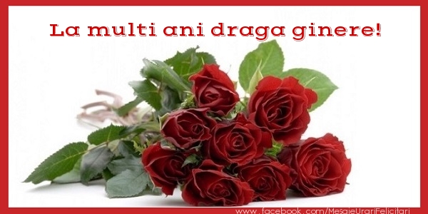 Felicitari de zi de nastere pentru Ginere - La multi ani draga ginere!