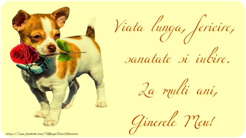 Felicitari de zi de nastere pentru Ginere - Viata lunga, fericire, sanatate si iubire. La multi ani, ginerele meu