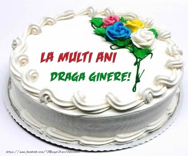 Felicitari de zi de nastere pentru Ginere - La multi ani draga ginere!