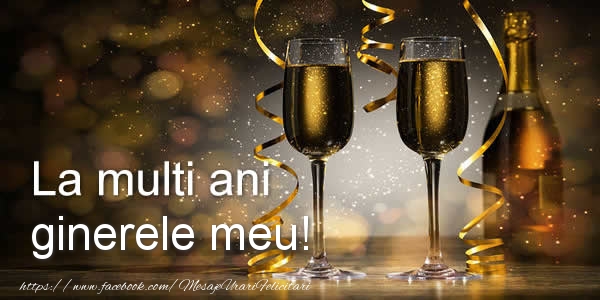 Zi de nastere La multi ani ginerele meu!