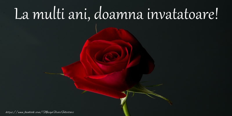 Felicitari de zi de nastere pentru Invatatoare - La multi ani doamna invatatoare!