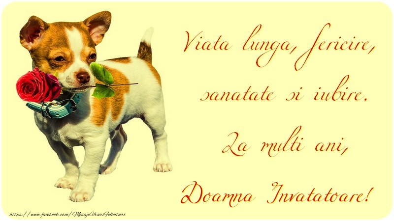 Felicitari de zi de nastere pentru Invatatoare - Viata lunga, fericire, sanatate si iubire. La multi ani, doamna invatatoare