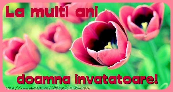 Felicitari de zi de nastere pentru Invatatoare - La multi ani doamna invatatoare