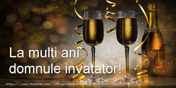Felicitari de zi de nastere pentru Invatator - La multi ani domnule invatator!