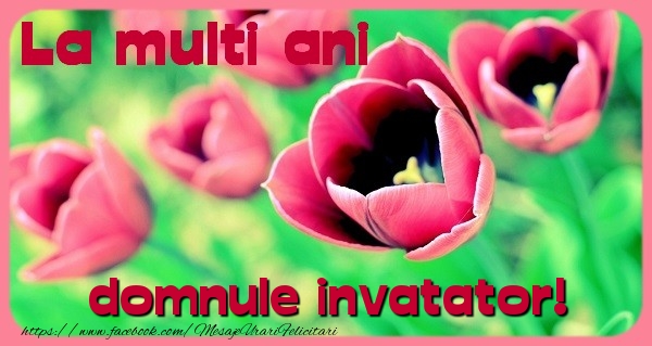 Felicitari de zi de nastere pentru Invatator - La multi ani domnule invatator