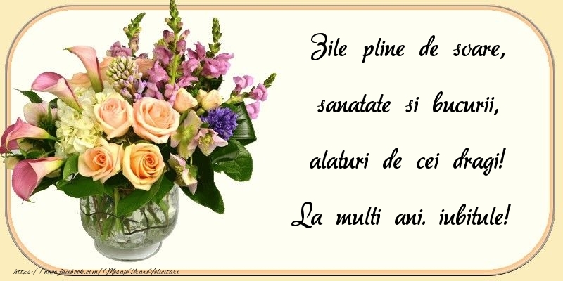Felicitari de zi de nastere pentru Iubit - Zile pline de soare, sanatate si bucurii, alaturi de cei dragi! iubitule