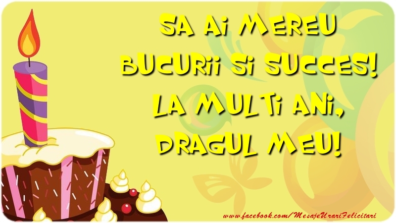 Felicitari de zi de nastere pentru Iubit - Sa ai mereu bucurii si succes! La multi ani, dragul meu