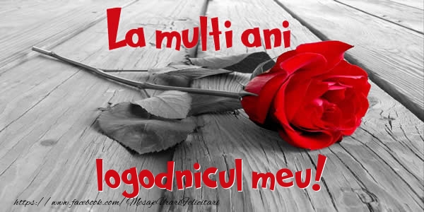 Felicitari de zi de nastere pentru Logodnic - La multi ani logodnicul meu!