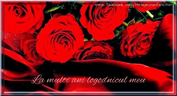 Felicitari de zi de nastere pentru Logodnic - La multi ani logodnicul meu