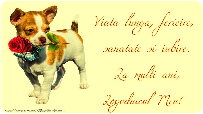 Felicitari de zi de nastere pentru Logodnic - Viata lunga, fericire, sanatate si iubire. La multi ani, logodnicul meu