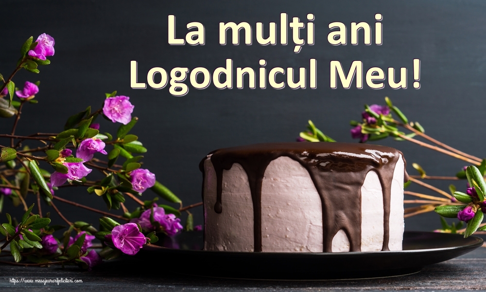 Felicitari de zi de nastere pentru Logodnic - La mulți ani logodnicul meu!