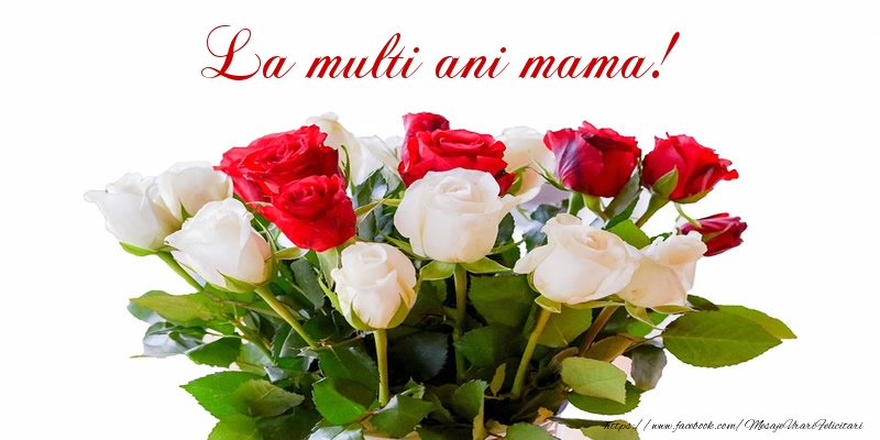 Felicitari de zi de nastere pentru Mama - La multi ani mama!