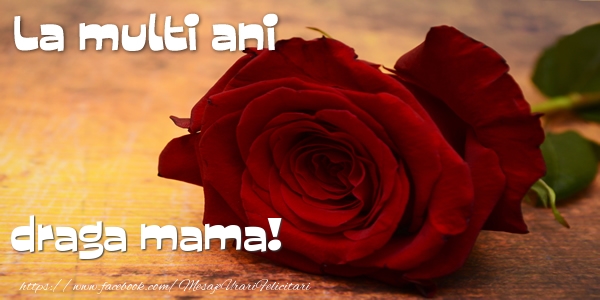 Felicitari de zi de nastere pentru Mama - La multi ani draga mama!
