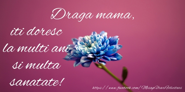 Felicitari de zi de nastere pentru Mama - Draga mama iti doresc la multi ani si multa sanatate!