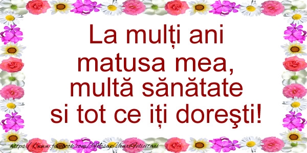 Felicitari de zi de nastere pentru Matusa - La multi ani matusa mea, multa sanatate si tot ce iti doresti!