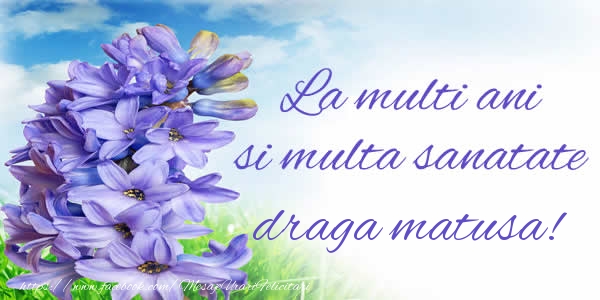 Felicitari de zi de nastere pentru Matusa - La multi ani si multa sanatate draga matusa!